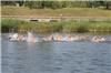 Los clubes FATRI pueden programar entrenamientos en los canales del Parque del Agua