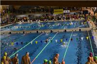 320 triatletas y nadadores celebran el fin de año en el 100x100 St. Casablanca