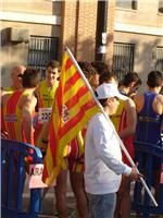 Criterios y requisitos Campeonatos de España por CCAA