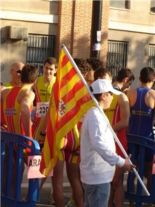 Criterios y requisitos Campeonatos de España por CCAA