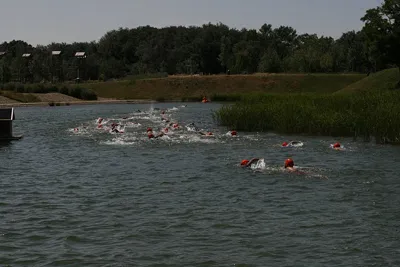 Boletín Informativo Final Campus de Triatlón "Niños de Acero"