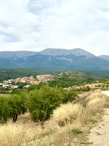 I DUATLÓN CROS ESCOLAR DE LITUÉNIGO