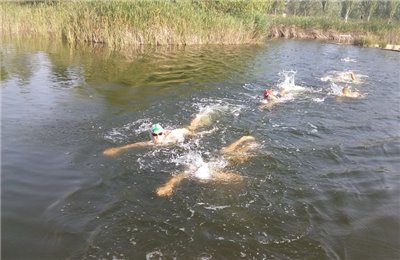 100 x 100 SWIM MASTER Stadium Casablanca (Federados F.A.N.)