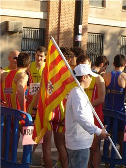 Criterios y requisitos Campeonatos de España por CCAA